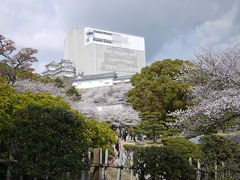 天空の白鷺　お花見散歩