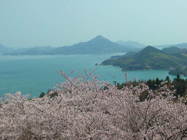 今年は冬眠期間が長かった上に東日本大震災の事もあり、ここまで自重してまいりましたが、山陰・四国、京都の北野をどりや沖縄方面と言ったコースを次々にこなすフットワークの良い家内に発奮！<br /><br />気候も陽気になったと言う事で当初は家内と二人でしまなみ海道あたりで美味しい魚料理でもという話でしたが、家内の方が知人達と泊りがけで山陰方面（三朝温泉）に行くことになり急遽予定変更、テーマをグルメから花見に変更して京都でもと思ったのですが、コースは若干の修正はしたもののやはりそのまましまなみで行くことにしました。<br />当日早朝出発に合わせ家内が（花見？）弁当を用意してくれました。<br /><br />日帰りではありましたが、自身にとっても久々のドライブを十二分にエンジョイしてきました。<br /><br />（日帰りなので）無理をせず、今回はこれまでよく訪れている広島県側のメジャーなスポット（耕三寺＆平山郁夫美術館、因島フラワーセンター等）を避け、個人旅行ならではの県境の岩城島をメインに大三島や伯方島：開山公園等、主に愛媛県側の島々で春爛漫～♪<br /><br />これまで同様今回も細かい部分は省き桜の開花状況を中心にお伝え出来ればと思っています。<br /><br /><br />