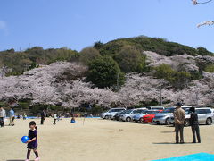 近場でお花見