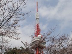 こんな時だからこそ桜を観にいこう　宇都宮八幡山公園