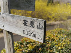 10.apr.2011花見山