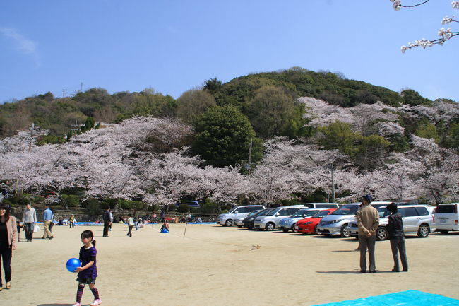 大阪府池田市の五月山公園<br /><br />「池田の猪買い」でおなじみの池田<br />さくらは山全体で35,000本<br />無料の動物園、ハイキングコース、ドライブコースと<br />北摂のお手軽なレジャーランドです！<br /><br />