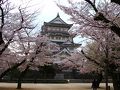 千葉市ぐるり旅【11】～満開に咲き誇る桜＆千葉城～亥鼻公園