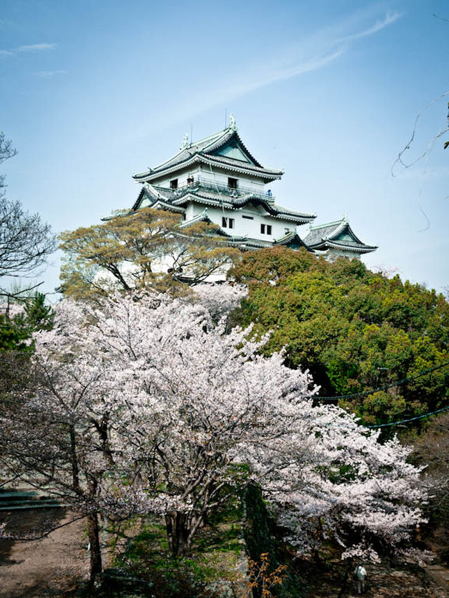 和歌山まで桜を見に行ってきました。<br /><br />京都や奈良に比べると、比較的空いてますね。<br />