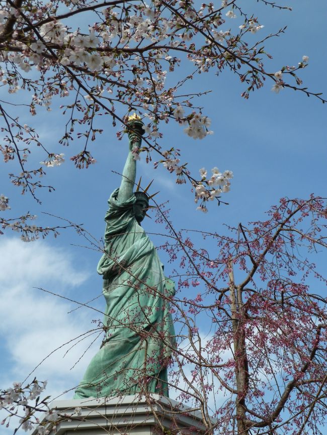 ４月７日、都心の日中の気温は20℃位まで上がり一気に桜が満開になったようです。<br />好天に誘われ東京・江東区の「水の広場公園」から「フジテレビ前」を通り、「お台場」へと桜を追ってきました。