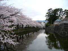 ２０１１　小田原の城と桜に酔いしれて～♪ Odawara-Schloss und die Kirschblueten～♪