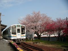 天浜線乗りつくしと桜探し