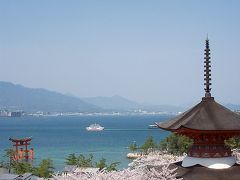 ２０１１”ひろしま桜・最前線＜宮島1＞