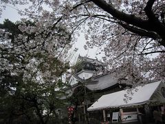 桜満開の岡崎公園と家康行列