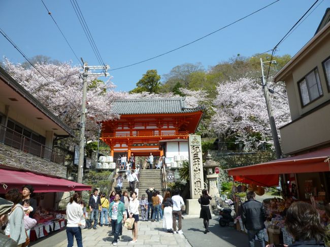 日頃の運動不足解消の為、自転車で紀三井寺にお花見に行ってきました。