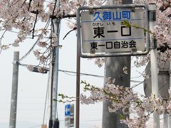 ８年ぶりに日本の桜撮り・その１～帰国翌日、速攻で「久御山東一口」へ～♪