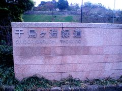 2011 春　千鳥が淵の桜に想う