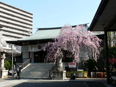 回り道で通勤前のお花見（緑と花の学習園～江東区・香取神社～龍眼寺）