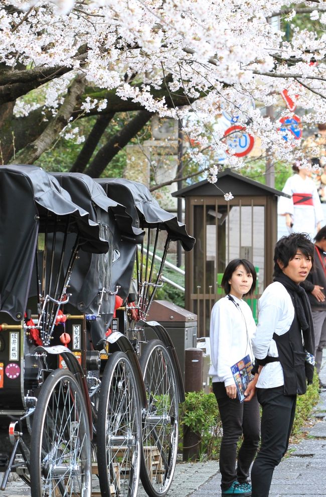 休日を利用した京都の花見旅行。<br />前日はあいにくの雨でしたが、今日は雨もやみ午後からは晴れ間も見えるとのこと。<br />それならと、八坂神社あたりからゆっくり歩いて清水寺まで、適当にぶらぶら観光していくことにしました。<br /><br />