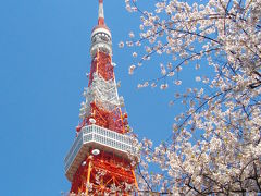2011 桜の季節の東京タワー～♪