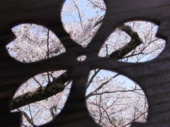 京都「花の寺」にて青空と薄桃色と紅色の空の下　～勝持寺・大原野神社・正法寺～
