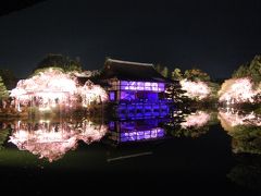 京都さくら紀行２０１１　(１日目後半）　平安神宮　紅しだれコンサート２０11