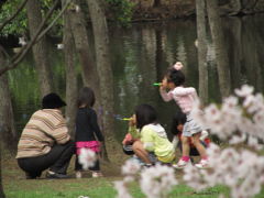 曇時々晴の花見時（2）家族でお花見にぴったりの智光山公園