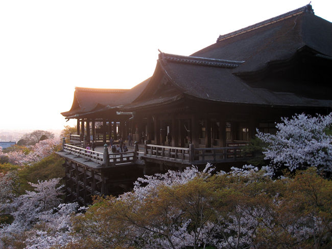 2011年も桜が美しく咲きましたので、日本の美しい風景と桜を求めて京都へ。<br /><br />やはり絶景は東山の清水の舞台の眺め。<br />かつて花街として栄えた町島原にも、美しいしだれ桜と文化の名残が。<br />