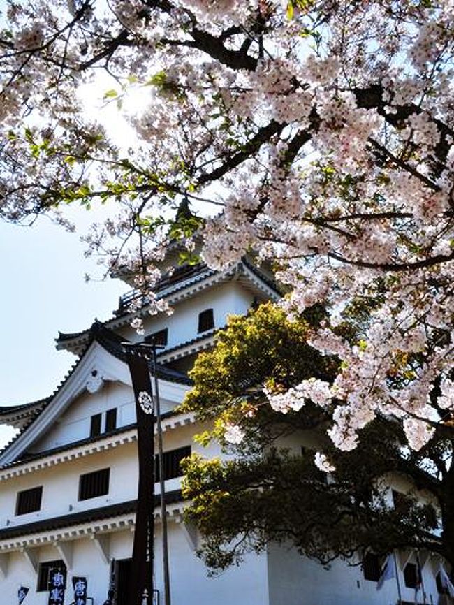 唐津城の桜を見てきました 唐津 虹の松原 佐賀県 の旅行記 ブログ By Akiriさん フォートラベル