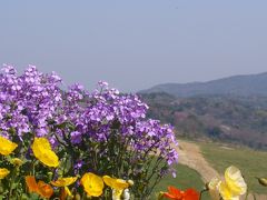 何度でも楽しい淡路のお花見～2011.4月編～その2