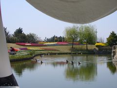 何度でも楽しい淡路のお花見～2011.4月編～その6