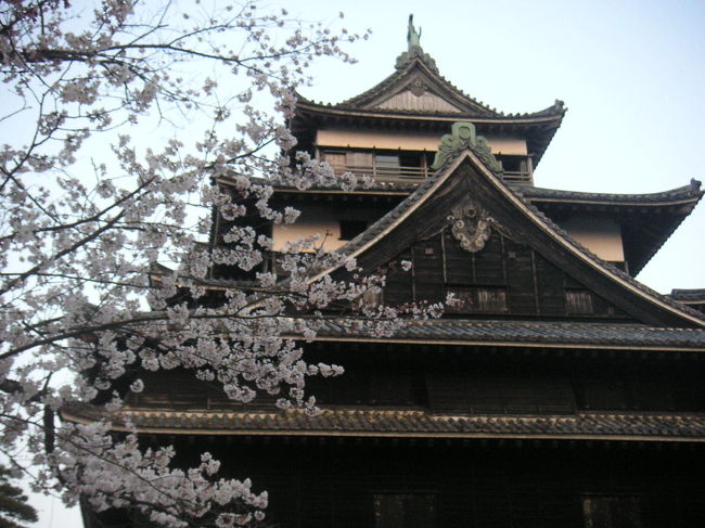 松江に赴任した平成6年春以来の松江城の桜見物です。<br /><br />綺麗にトイレ等も整備され、良い環境になっていました。<br /><br />ただ、雑然とした雰囲気の中、夜店のソ−スの焦げる臭いがないと満足できない私としては、若干の不満が残りますが、桜は綺麗で松江城の黒壁と相まってこれぞ「日本の美」という感じです。