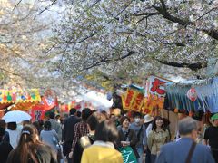 造幣局 桜の通り抜け 2011　～番外編～　「屋台へ行こう」