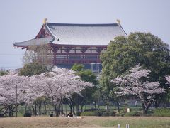 “お花見”三本立て　　関大～平城京～新幹線公園