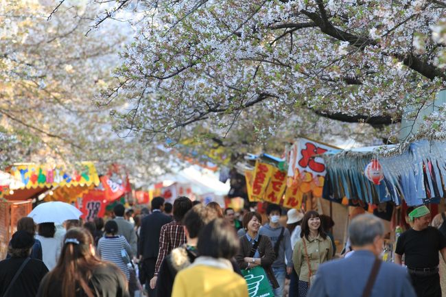 今年も大阪の春の風物詩”造幣局桜の通り抜け”が始まりました。<br />本編の旅行記は↓<br /><br />◎ 2011/04/14 【大阪桜2011】 桜の通り抜け始まる、まだ３分咲き　「造幣局」<br />http://4travel.jp/traveler/minikuma/album/10558994/<br /><br />今回は番外編として、毎年恒例？の屋台見物の様子をお伝えします。<br /><br />※ 意外とこの番外編の人気が高いので、今年は写真をいっぱい撮ってきました。<br /><br />