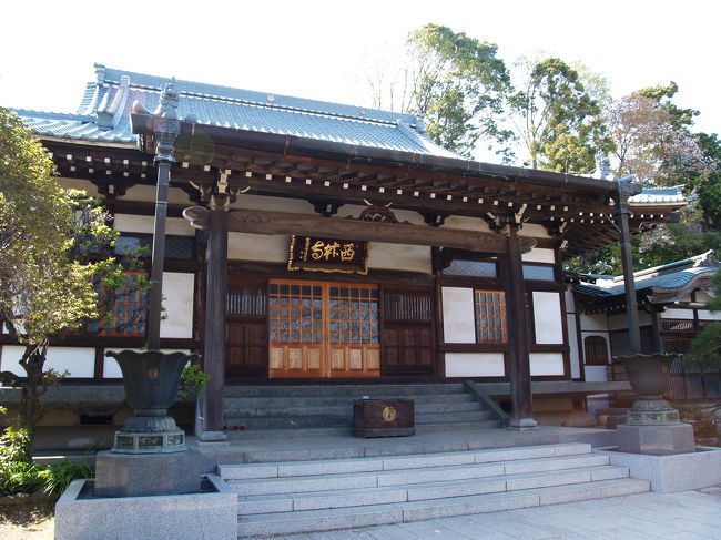 横浜市泉区岡津町にある西林寺は浄土宗のお寺で亀鶴山一心院西林寺という。長禄4年(1460年)中丸左衛門尉定昭が神奈川宿慶運寺音誉聖観上人(増上寺第3世)の弟子団誉閑悦上人を招き、藤沢道に沿った向い山(天台山、通称首切山)の麓に建立したのが西林寺の始めである。徳川家康の側室於万の方(お万の方、清源院)は、岡津の人で、代官頭彦坂小刑部元正の推挙によって大奥に仕えていたが、元和元年(1615年)40歳の頃に辞任したのち清源院尼と称し、竹の鼻に草庵を設けて住んでいた。その後、戸塚に清源院を建て移住した跡地に移転したのが、今の西林寺である。本尊は阿弥陀如来である。<br /> 戸塚区汲沢界隈の大きな枝垂れ桜があるお宅で話を聞くと、皆が旧戸塚区であった泉区西林寺の枝垂れ桜を紹介してくれた。戸塚区汲沢界隈の枝垂れ桜は寶壽院の枝垂れ桜ではなく、西林寺の枝垂れ桜を見て植えられたのかも知れない。戸塚駅東口で弥生台駅行のバスの運転手に聞くとこのバスが西林寺に行くという。残念ながら枝垂れ桜は散り終わりと言ったところであった。寶壽院の枝垂れ桜と同じ時期に開花するようだ。<br /> 前に100円ショップのキャンドウがあったので寄ってみた。単3電池を単1電池代わりに使う電池アダプターを買いたかったからだ。三洋製のものを買ったが、「こんなものは100円ショップで売っていてもおかしくない。」と思っていた。たまたまキャンドウ深谷店で見つけて買った。ちなみにパナソニック製もあるがもう少し高くなる。しかし、三洋とパナソニックは合併するから独占になろう。他にもメーカーはあるようだが、販売力が違う。キャンドウはどうかといえば、この地震後に売り切れになって入庫がない状態だ。ダイソーの2割も売り上げがない100円ショップでは生産力が小さいのであろう。<br /> ダイソーとキャンドウには白熱電灯が並んでいた。今、節電のお願いが流れているときにはノジマなどのように白熱電灯の販売を中止するまたとない機会のはずだ。しかし、それができない100円ショップは、目先の利益追求だけで社会性が乏しい。潰れる100円ショップが多いのも肯ける。<br />(表紙写真は西林寺本堂)