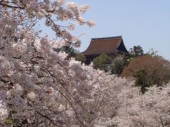 桜の国・さくらの名所！吉野山