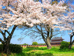 京の夜桜・まほろばの桜②前に明日に進む・・