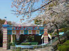 春爛漫　桜めぐり～♪　東山動物園