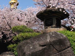 2011大阪の春-2（一心寺）