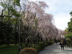 2011.4.17 桜咲く二条城へ