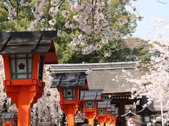 2011年京都の桜　①　平野神社、大将軍界隈の寺院、上品蓮台寺