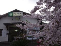 2011桜日記 第９弾 海の見える桜の駅 