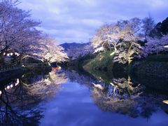 小さな街・小さな旅：鳥取鹿野城跡：夜桜を楽しむ