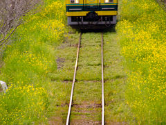 春のいすみ鉄道旅