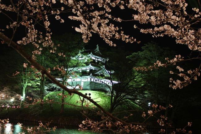 日本三大夜桜のひとつ高田公園の夜桜を見に行ってきました。<br />新潟市内から高速利用で約2時間でした。<br />東京からでも約3時間半で来られるようです。<br /><br />この日は朝は雨が降っていて、昼過ぎには雨が上がりました。<br />午後4時まで家にいなければならない用事があり、<br />午後4時半に家を出発したため、ほんとに夜桜だけの見物になりました。<br />どうせなら昼の桜も見たかったです。<br />この日の桜は満開の一歩手前の七分咲きぐらいでした。<br />でも、翌週は雨が多いようなので、行くならこの日なのかも。<br /><br />この日はとても寒く、昼間も11度くらい、夜は7度くらいと<br />冬のような寒さでした。