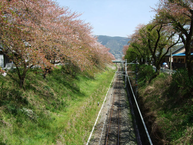 自宅を出発したときは、富士山を反時計回りで回ろうと計画を立てて出発しました。<br />ところが沼津市に入った頃から神奈川県まで…などと考え始め、御殿場線を走る「あさぎり号」を見たと同時に「そうだ、山北に行こう!!」と決意しました。<br />と、言うわけで取りあえずの目的地を神奈川県山北町のJR御殿場線山北駅にしました。<br />今回は、第３回で山北から小田原までです。 <br />