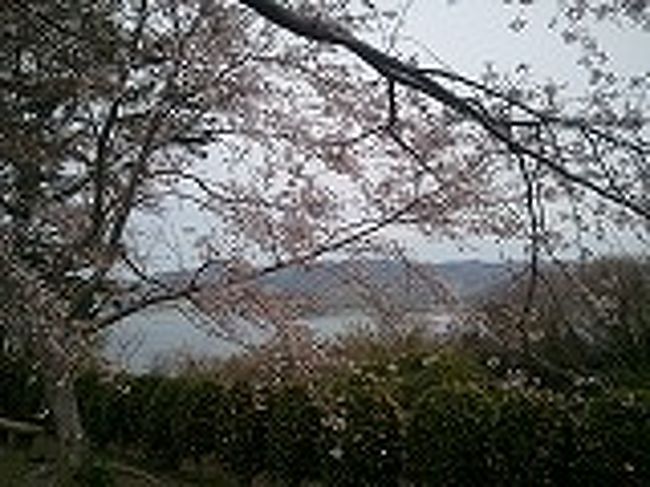 今年は桜の咲くのが遅かったですが、散るのも速かったように思います。<br />西浦温泉の「はづ」に宿泊した時に、山の上にある公園を訪ねました。<br />海の風景を背景にさくらが見ごろでした。
