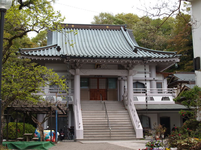 　鎌倉市岩瀬にある西念寺は浄土宗のお寺で岩瀬山西念寺という。岩瀬大長寺の末寺であり、鎌倉時代の創建という。本堂は平成18年（2006年）に鉄筋コンクリート製に建替えられた。改築時に遺跡調査がなされ、完成までに時間を要したようだ。法然上人800年大遠忌に合わせて外装の色を塗り替えたばかりだ。建物は強固な岩盤の上に建ち、強度も規格よりも強くなっているという。<br />　本堂左の六地蔵脇にある庚申塔は、近所の消防小屋の横にあった「賽の神（さいのかみ）・障の神（さえのかみ）」（道祖神の別称）と呼ばれている石仏を移設したものである。馬頭観音４基もある。この六地蔵は古いものだそうだが、20年ほど前に盗難にあったが、それからしばらくたってから戻されたという。そのときに首がもげてしまったそうだ。<br />　併設されている岩瀬保育園は戦後間もなくできたもので、鎌倉では3つに数えられるほど古い。門前に広がる田圃を作る近所の農家の子供を、農繁期に預かるためにできたのだという。今は田圃は全くなくなっている。<br />　副住職は岩瀬地区の消防団の関係で、東北地方にキャベツや肉を携え、焼きそば1,200食分を炊き出ししに出かけているそうだ。保育園でも飲み水や食材、子供の野外での運動などでも放射能の影響を考慮して気を配っているという。大人とは違って放射能に敏感だとされる子供を預かるのは苦労があるものだと感じた。<br />（表紙写真は西念寺本堂）