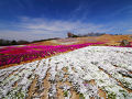 広島旅行2日目　花夢の里ロクタン