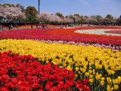 なばなの里　花まつり＆村の市グルメ♪