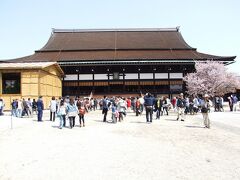 京都山科・毘沙門堂の枝垂れ桜～京都御所春の一般公開～西陣。