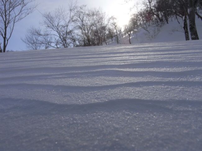 寒波が去った後の谷川岳天神平スキー場。<br />平日に有給をとって、滑ってきました。