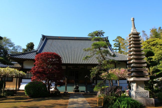 市原/木更津/君津/袖ヶ浦/富津の千葉県内房エリアをぐるり巡る旅。<br />東京湾に面した地域で工業都市でもあり、内陸部は自然豊かで自然を利用したゴルフ場などが多くあります。アクアラインで川崎と木更津市をつないだことにより多くの観光客が訪れるようになりました。<br />Jリーグジェフユナイテッド市原・千葉のホームタウンの市原市には市原ぞうの国、桜の名所の鶴舞公園、紅葉の名所の養老渓谷や梅ヶ瀬渓谷、木更津市には海ほたるパーキングエリア、桜の名所＆日本の夜景100選の太田山公園、木更津を全国的に有名にしたドラマ「木更津キャッツアイ」、2012年には木更津アウトレットパークが誕生、袖ヶ浦市には自然豊かで冬のイルミネーションの穴場スポット　東京ドイツ村、富津市にはマザー牧場、鋸山ロープウェイ等の観光名所が多くあります。<br /><br />□■□■□■□■□■□■□■□■□■□■□■□■□■□■□■<br /><br />市原/木更津ぐるり旅、今回は千葉県市原市にある【国指定史跡】上総国分寺・国分尼寺へ行って来ました。<br />全国でも最大規模と言われる上総国分尼寺跡。発掘調査では屋根瓦の他、様々な遺物が発見され瓦の紋様は平城京で使われていた唐草文や蓮華文で都の最新流行を取り入れ、往時の上総の国が繁栄していた事を伺い知ることができます。<br />史跡では中門と回廊が復元され公開されており、無料で入る事が出来ます。古代の建築技法を用いて復元されており、回廊の柱は96本で樹齢100年以上の木曽ヒノキを使い平成9年に完成しました。<br />【房総の魅力500選】にも選定されている歴史観光スポットです。<br />こちらも観光客は少なくゆっくり復元された回廊等を回ることができ、歴史好きな人にはおススメの穴場スポットです。<br />市原市に来られた方はちょっと立ち寄るにはよいと思います。<br /><br />□■□■□■□■□■□■□■□■□■□■□■□■□■□■□■<br /><br />＜上総国分尼寺跡＞<br />千葉県市原市国分寺台中央3-5-2<br />http://www.ichihara-kankou.or.jp/tourist/view.html#tenji<br /><br />□■□■□■□■□■□■□■□■□■□■□■□■□■□■□■<br /><br />＜市原/木更津ぐるり旅＞<br />【1】天然記念物　ヒカリモ発生地　黄金井戸<br />http://4travel.jp/traveler/dekadora/album/10557944/<br />【2】太田山公園(花見)<br />http://4travel.jp/traveler/dekadora/album/10557912/<br />【3】瀬又のこいのぼり<br />http://4travel.jp/traveler/dekadora/album/10561280/<br />【4】上総国分寺・国分尼寺<br />http://4travel.jp/traveler/dekadora/album/10561287/<br />【5】梅ヶ瀬渓谷ハイキングツアー<br />http://4travel.jp/traveler/dekadora/album/10628030/<br />【6】もみじ谷＆大福山展望台<br />http://4travel.jp/traveler/dekadora/album/10628034/<br />【7】東京ドイツ村　Winter Illumination2011<br />http://4travel.jp/traveler/dekadora/album/10623504/<br />【8】マザー牧場(ディスクドッグ大会)<br />http://4travel.jp/traveler/dekadora/album/10666052/<br />【9】マザー牧場(動物イベント編)<br />http://4travel.jp/traveler/dekadora/album/10666492 