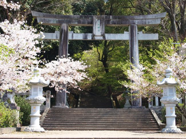 旅の２日目。<br />今日もとてもいい天気。青空に桜の花びらが映えます。<br /><br />朝一番で次の目的地である菊池へ向かう予定が、<br />昨日、八千代座の館内を観れなかったため、急きょ変更。<br /><br />八千代座見学後、菊池へ移動、その後熊本に戻り、<br />水前寺成趣園の庭園を眺めて旅を締めくくりました。<br /><br /><br />〔２日目行程〕<br />山鹿市内（八千代座）～菊池市内/菊池温泉～水前寺成趣園